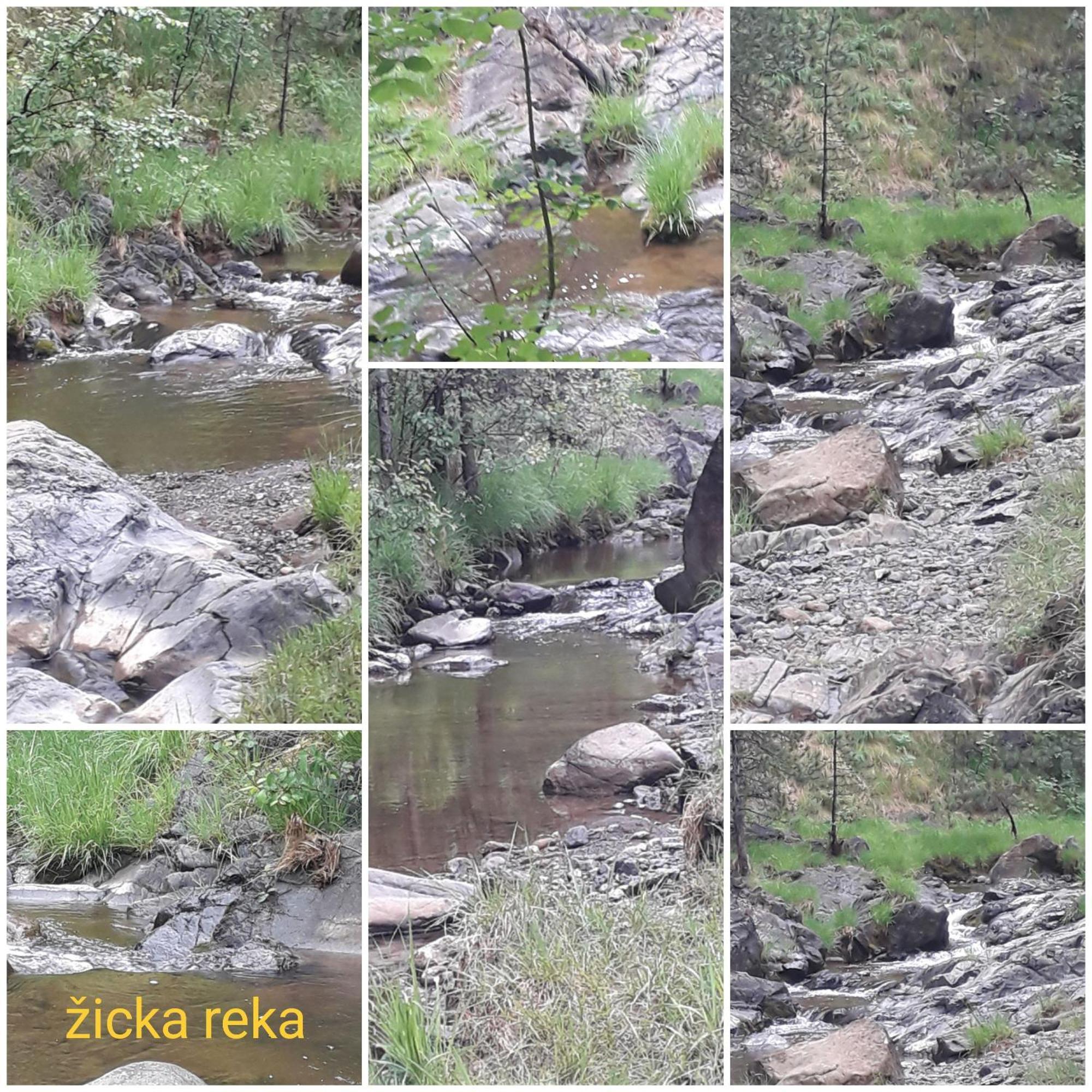 Kuca Za Odmor Zicanka Кралево Екстер'єр фото